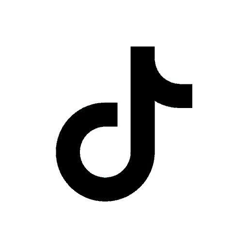 TikTok Icon
